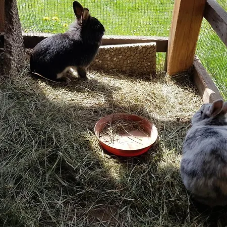 Holzergut Sankt Andrä im Lungau