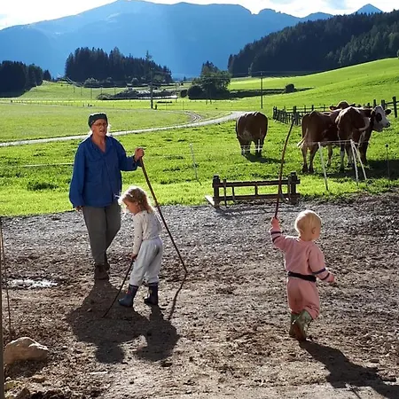 Ferienwohnung Holzergut * Sankt Andra im Lungau