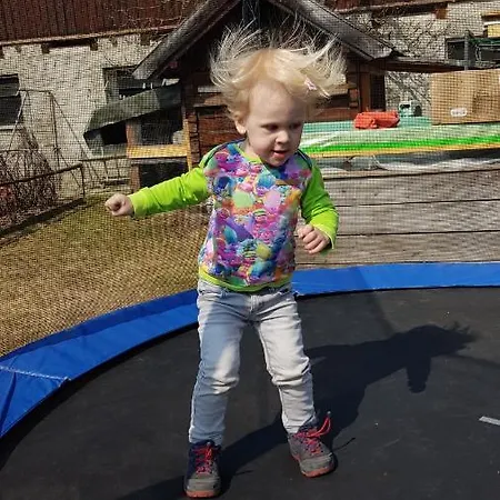 شقة Holzergut Sankt Andrä im Lungau